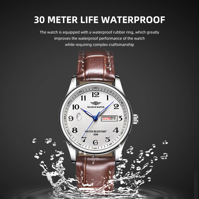WLISTH Luxus Marke herren Uhr  – Luxury Watch Audemars Piguet Bewertung und Preis