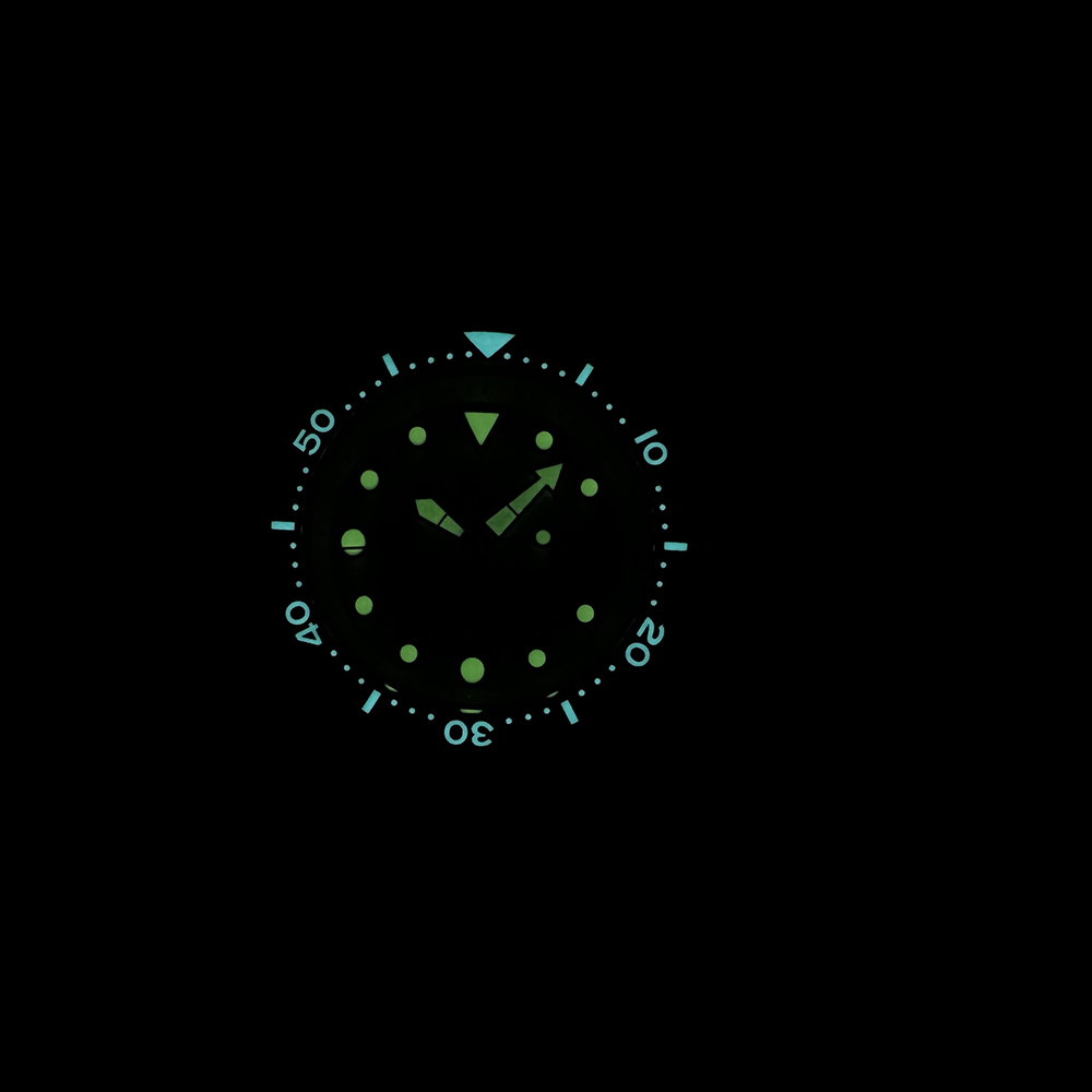 STEELDIVE SD1975 Türkises Sunr – Seiko Watch Prospex Bewertung und Preis