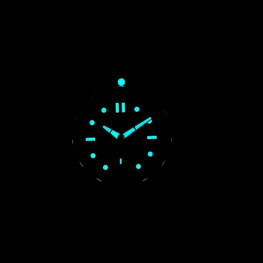 STEELDIVE Offiziell Neu SD1960 – Seiko Watch Prospex Bewertung und Preis